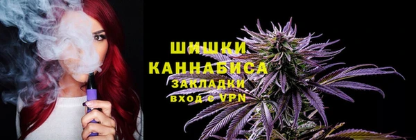 первитин Новодвинск