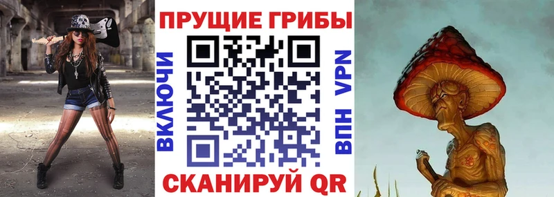 Псилоцибиновые грибы Cubensis  Арзамас 